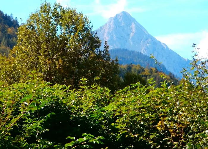 Haus Alois * ミッテンヴァルト